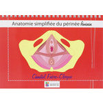 Anatomie simplifi&eacute;e du p&eacute;rin&eacute;e f&eacute;minin