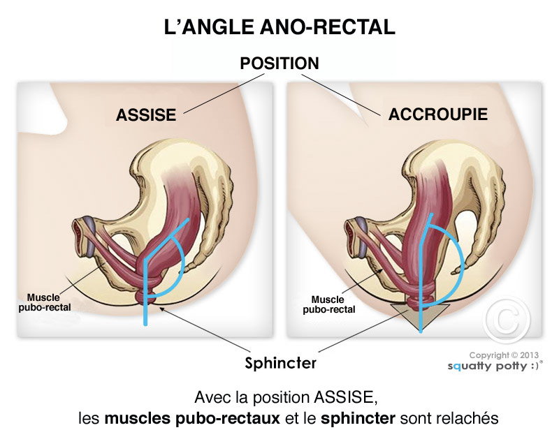 Tabouret Physiologique toilette - My Périnée