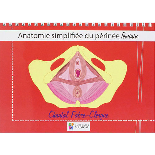 Anatomie simplifiée du périnée féminin