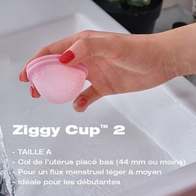 La taille A La taille A