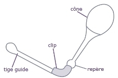 Kegel 8 Kegel 8