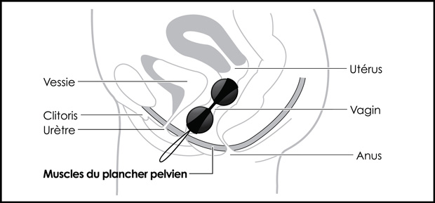 Position des boules de geisha dans le vagin Position des boules de geisha dans le vagin