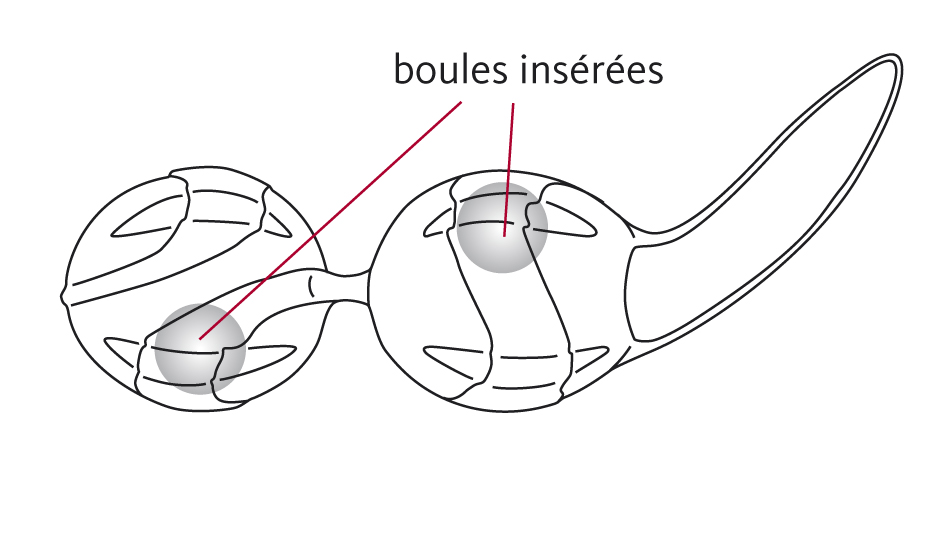 Boules de geisha périnéale