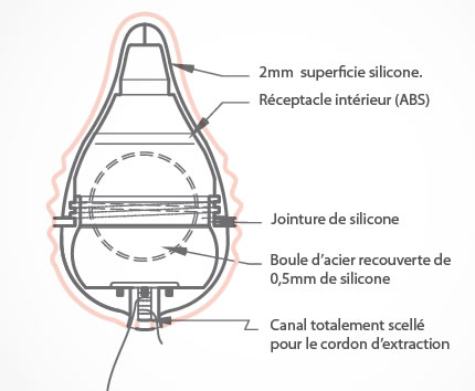 Le principe du Pelvix Concept