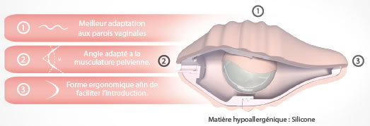 Vue de coupe du Pelvix Concept